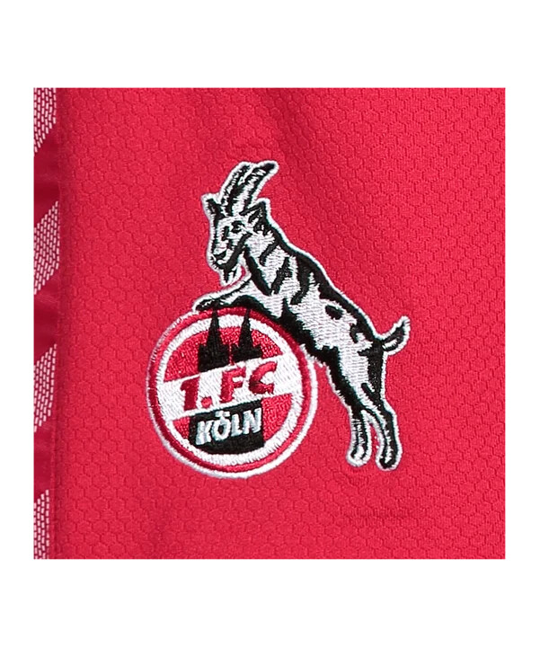 hummel 1. fc köln kratki gostujući dres 2023.2024. dječji crveni f3062