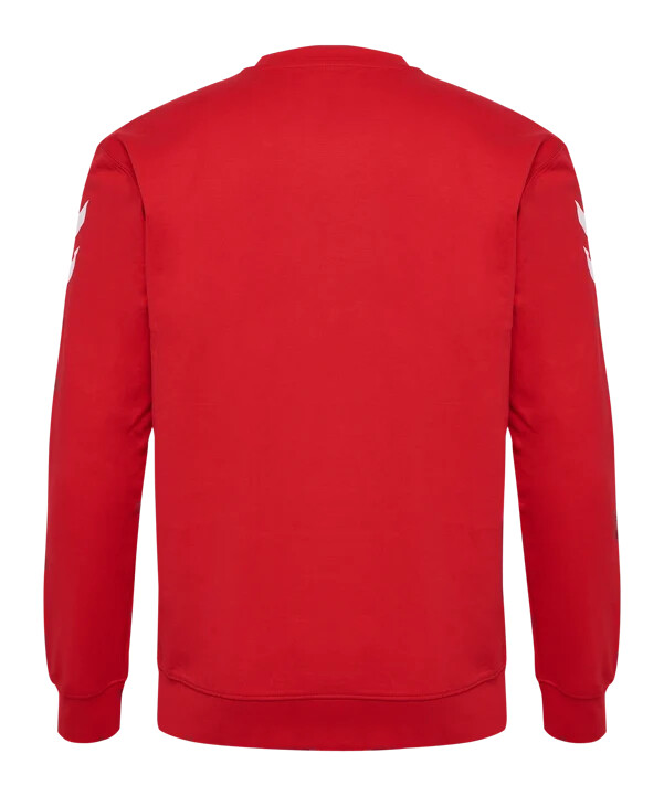 hummel 1. fc köln putna majica 20242025 dječja crvena f3062