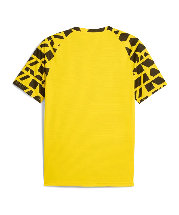 puma borussia dortmund warm up trikot gelb f01