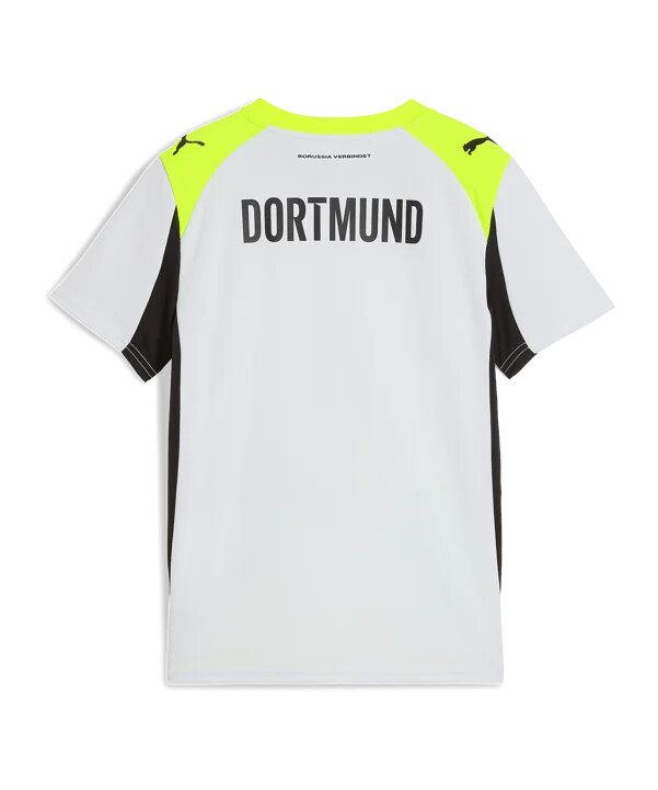 puma replika dresa borussia dortmund za djecu siva f02