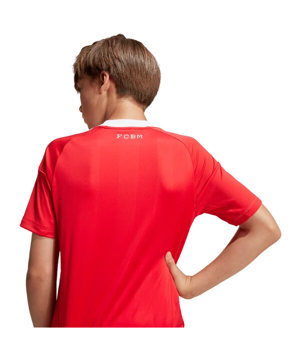 adidas fc bayern münchen vratarski dres 3. 2025.2026. dječji crveni