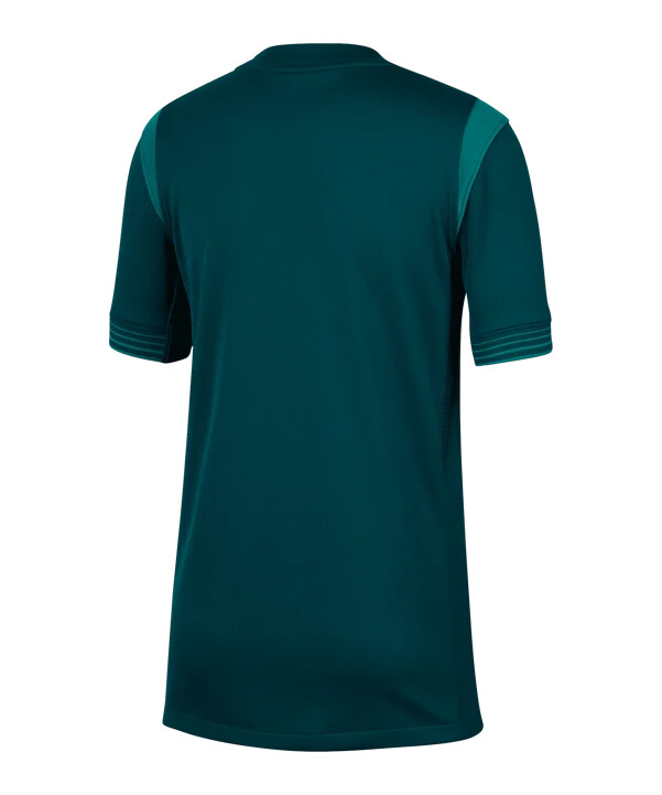 dječji domaći dres nike nigerije 20252026 plavi f483