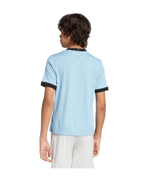 adidas dfb njemačka 125. obljetnica vratarskog dres za djecu plavi