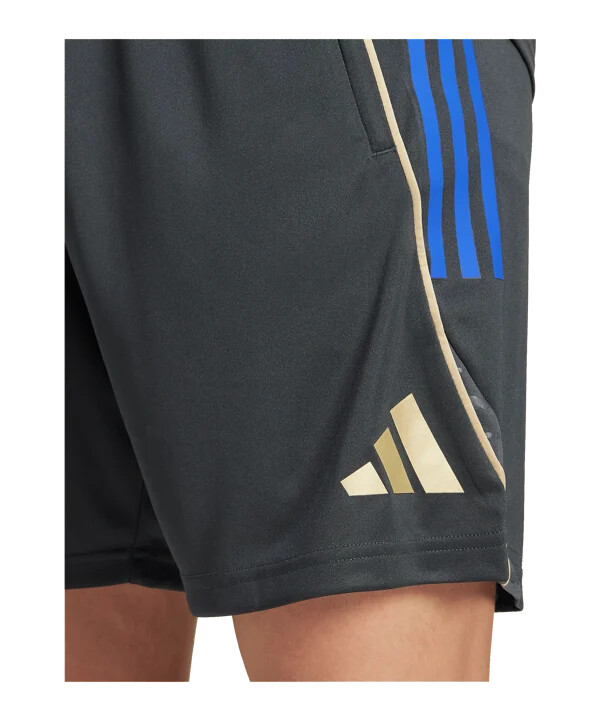adidas olympique lyon kratke hlače za trening sive boje