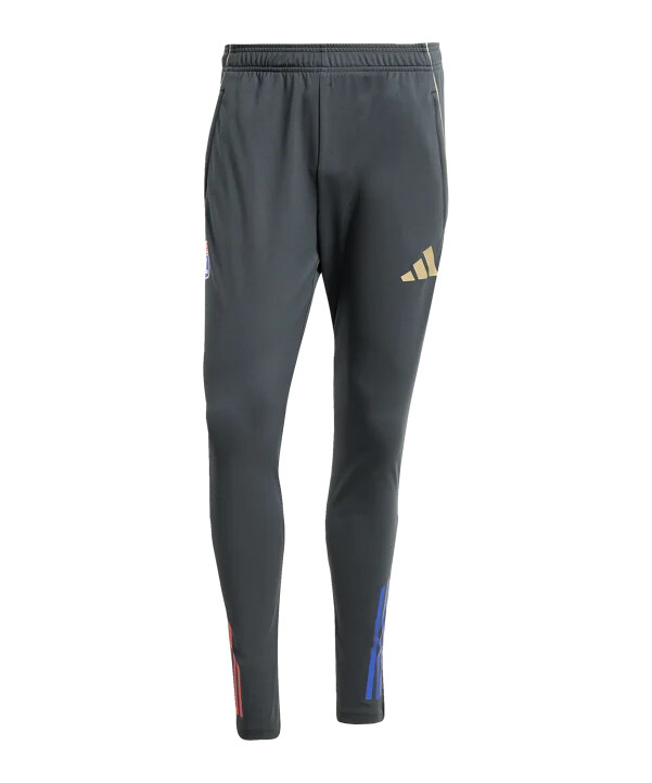 adidas olympique lyon trening hlače sive