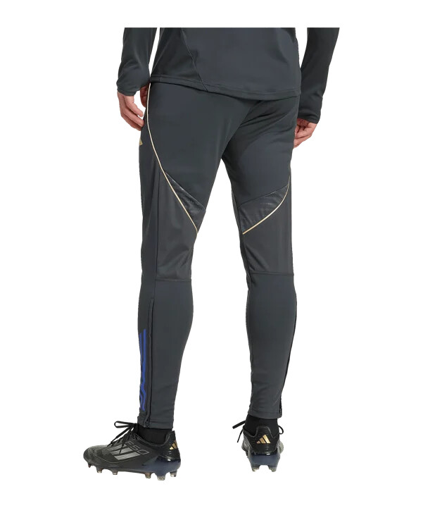 adidas olympique lyon trening hlače sive