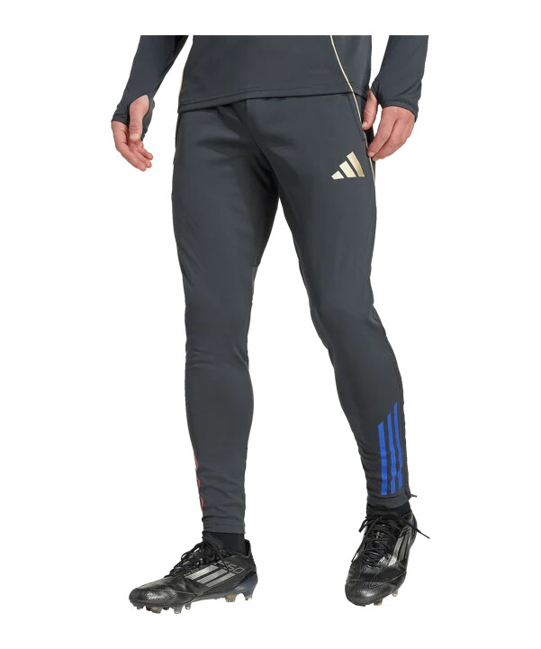 adidas olympique lyon trening hlače sive