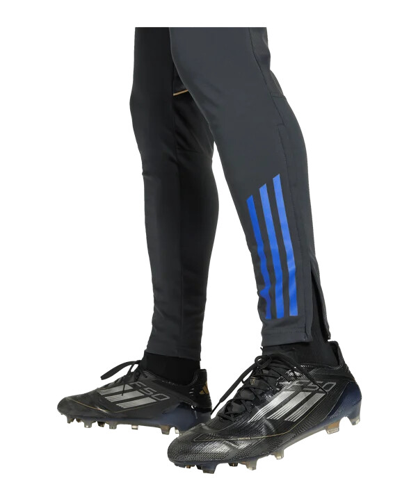 adidas olympique lyon trening hlače sive