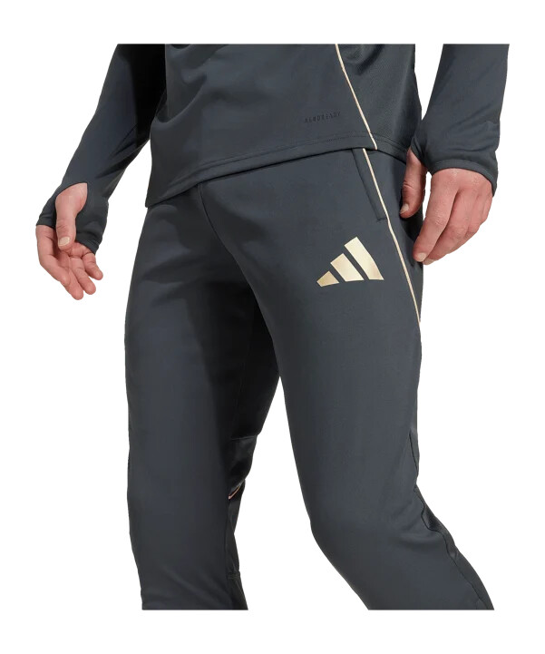 adidas olympique lyon trening hlače sive