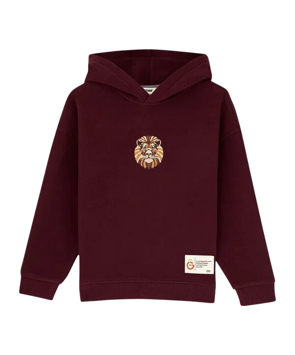 gsstore x reflect studio lion hoody kids rot