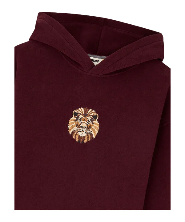 gsstore x reflect studio lion hoody kids rot