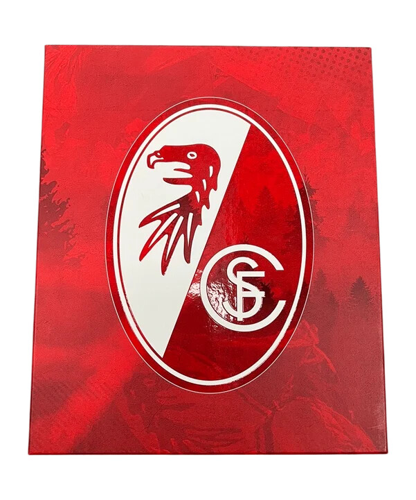 nike sc freiburg special edition dres 50 godina sc ženski dres bijeli f100