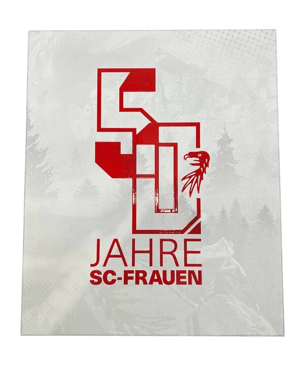 nike sc freiburg special edition dres 50 godina sc ženski dres za djecu bijeli f100