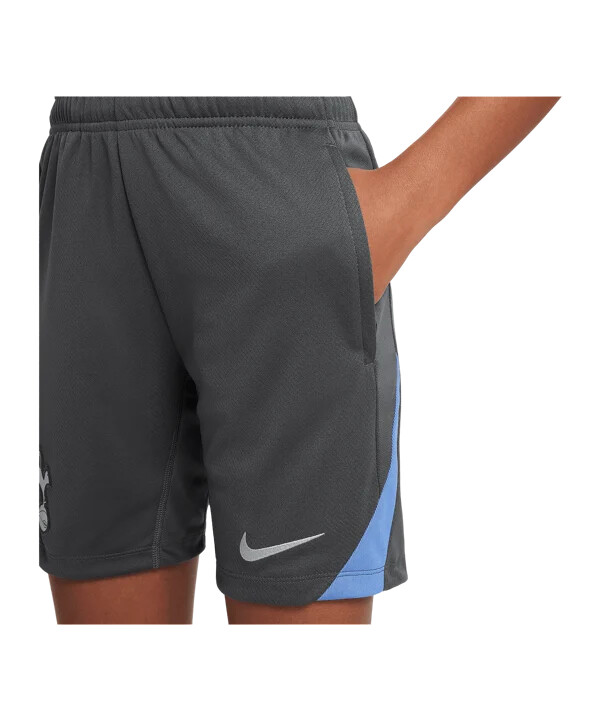 nike tottenham hotspur kratke hlače za trening za djecu sive f021