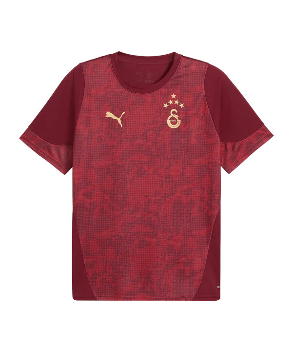 puma galatasaray istanbul majica za trening crvena f003