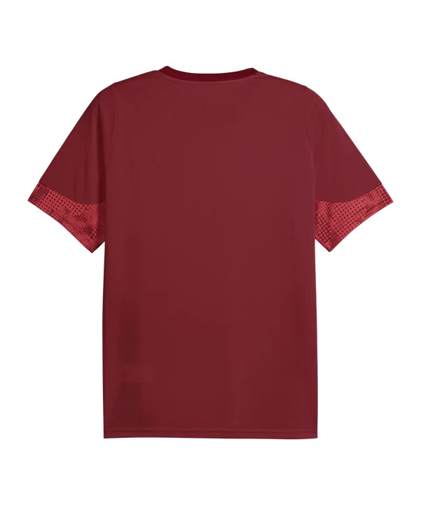 puma galatasaray istanbul majica za trening crvena f003