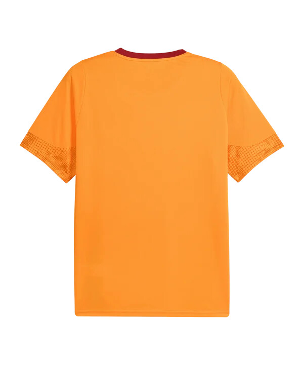 puma galatasaray istanbul majica za trening narančasta f006